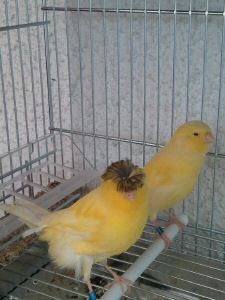 2011-05-26 13.48.02.jpg